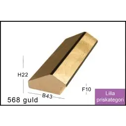 Fotoramme Nr.  568 Guld Special Størrelse - Uni