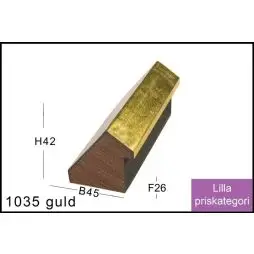 Fotoramme Nr. 1035 Guld Special Størrelse - Pumper