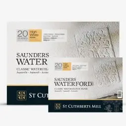 Saunders Waterford Rough 300G High White Block 20 SH - Guld